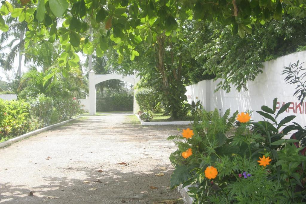 Executive Mammee Bay Hotel Ocho Rios Eksteriør bilde