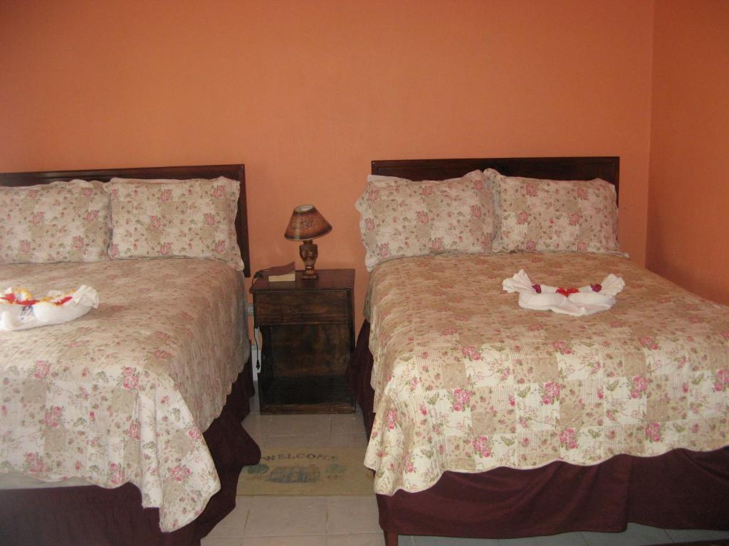Executive Mammee Bay Hotel Ocho Rios Eksteriør bilde